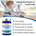 Supporto supplemento NMN Premium Funzione immunitaria